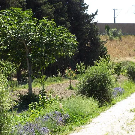 La Maison Du Moulin De Tartay Semesterbostad Avignon